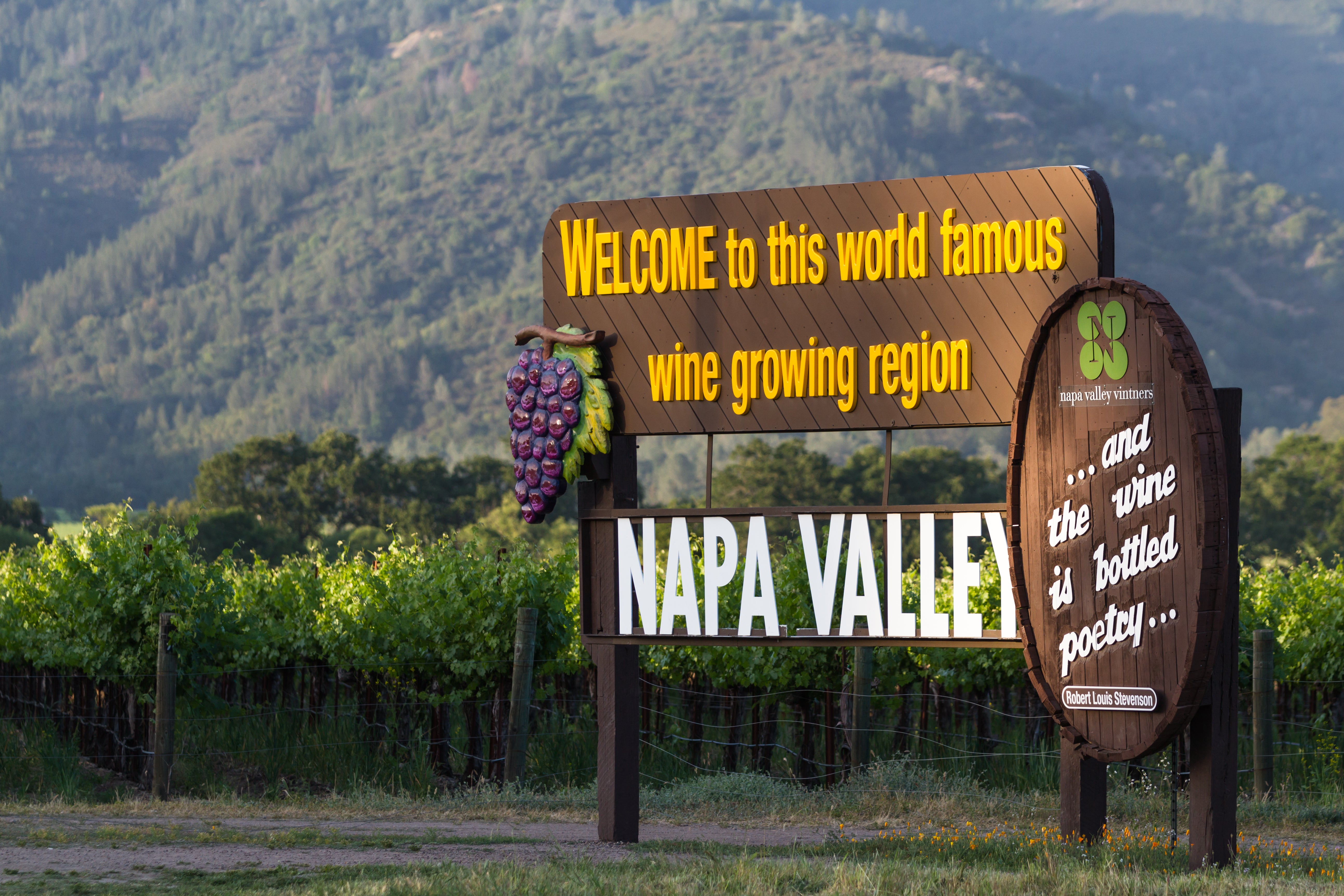 4 Wines to Celebrate California Wine Month